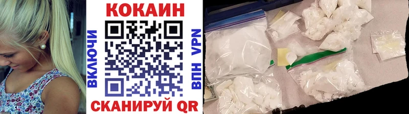 Cocaine Fish Scale  Купить закладки  Володарск 
