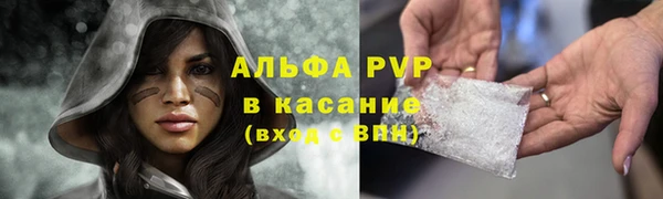 ПСИЛОЦИБИНОВЫЕ ГРИБЫ Богородск