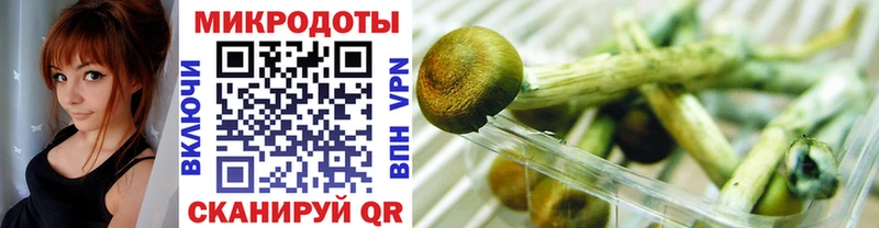 Купить закладки  Володарск  Галлюциногенные грибы Cubensis 