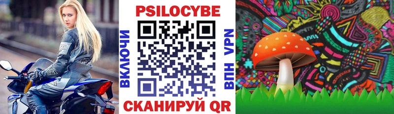 Галлюциногенные грибы Cubensis Володарск